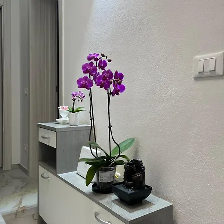 Apartament Orchidea *