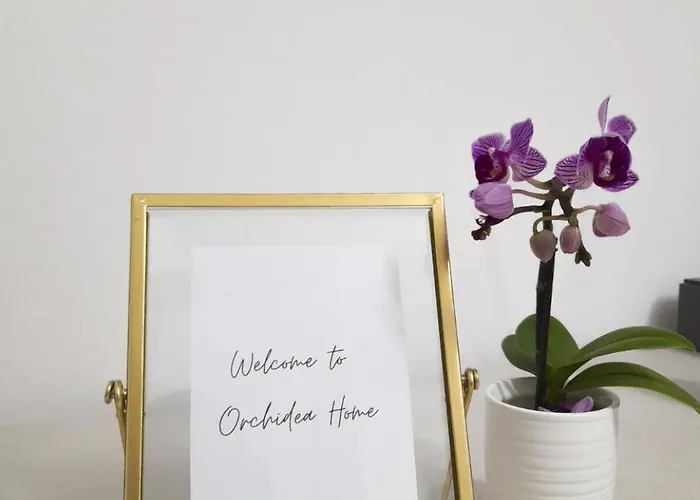 شقة Orchidea رافيننا