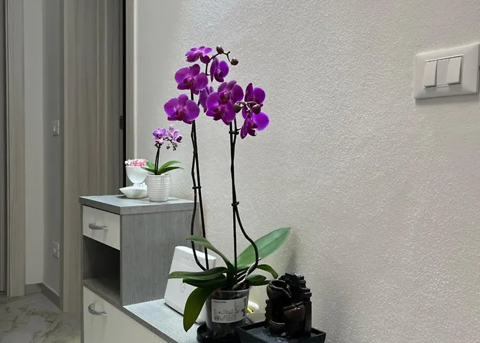 Apartment Orchidea *